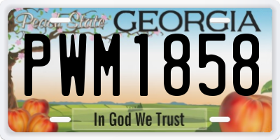 GA license plate PWM1858