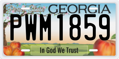 GA license plate PWM1859