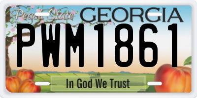 GA license plate PWM1861