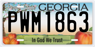 GA license plate PWM1863