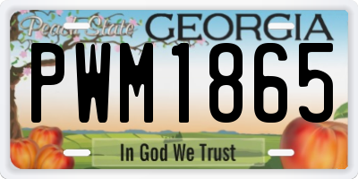 GA license plate PWM1865