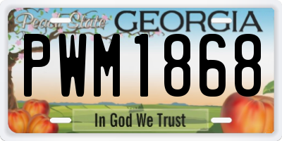 GA license plate PWM1868