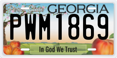 GA license plate PWM1869