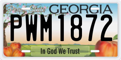 GA license plate PWM1872