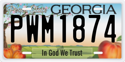 GA license plate PWM1874