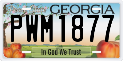 GA license plate PWM1877
