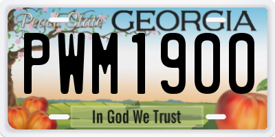 GA license plate PWM1900