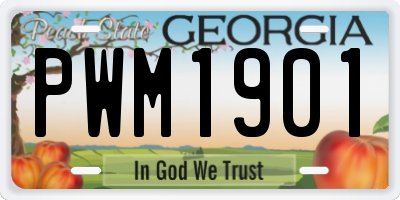 GA license plate PWM1901