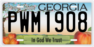 GA license plate PWM1908