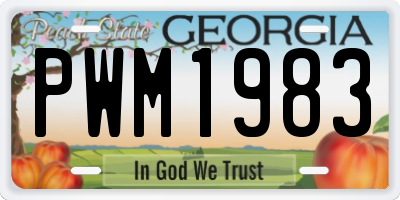 GA license plate PWM1983