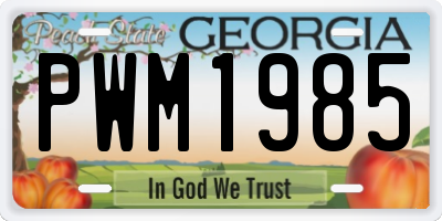 GA license plate PWM1985