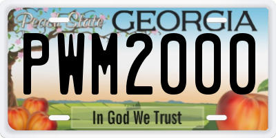 GA license plate PWM2000