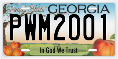 GA license plate PWM2001