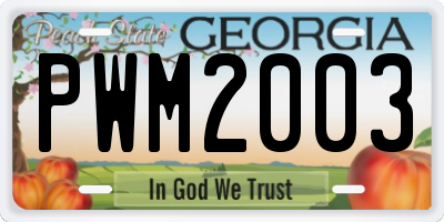 GA license plate PWM2003