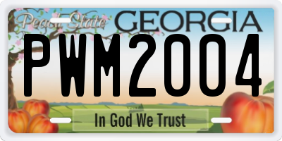 GA license plate PWM2004