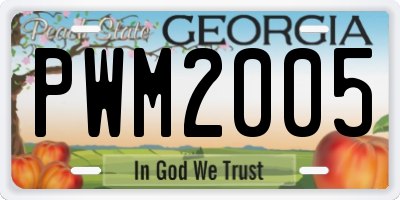 GA license plate PWM2005