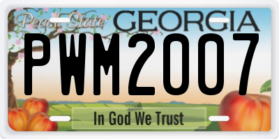 GA license plate PWM2007