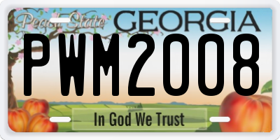 GA license plate PWM2008