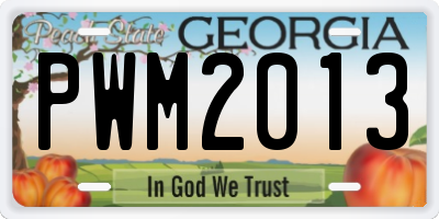 GA license plate PWM2013