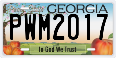 GA license plate PWM2017