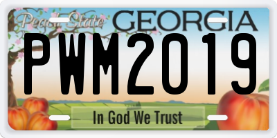 GA license plate PWM2019