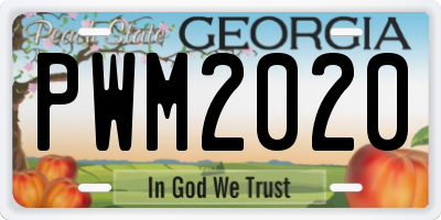 GA license plate PWM2020