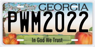 GA license plate PWM2022