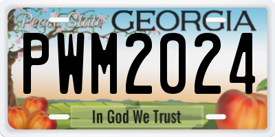 GA license plate PWM2024