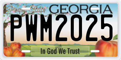 GA license plate PWM2025
