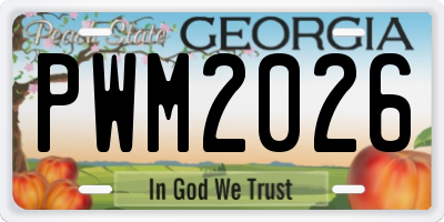 GA license plate PWM2026
