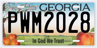 GA license plate PWM2028