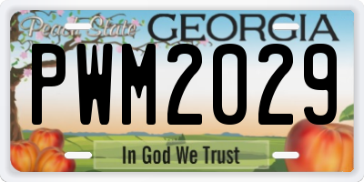 GA license plate PWM2029