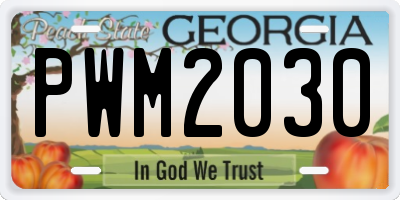 GA license plate PWM2030