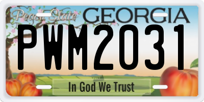 GA license plate PWM2031