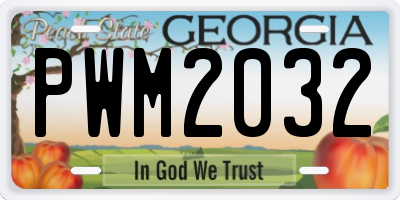 GA license plate PWM2032
