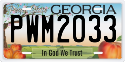 GA license plate PWM2033