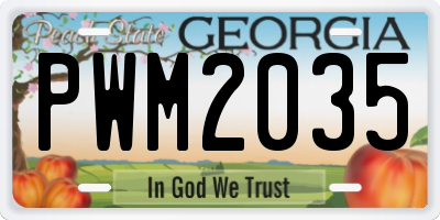 GA license plate PWM2035