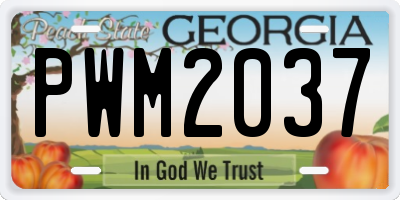 GA license plate PWM2037