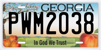 GA license plate PWM2038