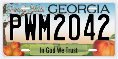 GA license plate PWM2042
