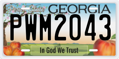 GA license plate PWM2043