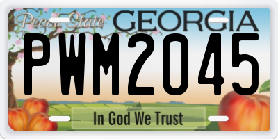GA license plate PWM2045