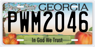 GA license plate PWM2046