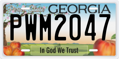 GA license plate PWM2047