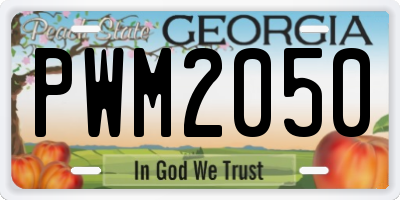 GA license plate PWM2050