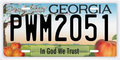 GA license plate PWM2051