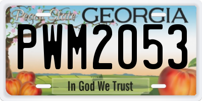 GA license plate PWM2053