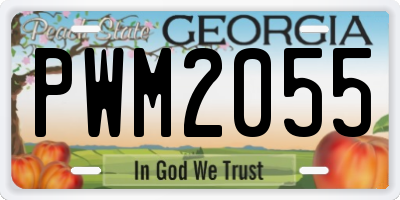 GA license plate PWM2055