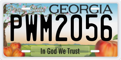 GA license plate PWM2056