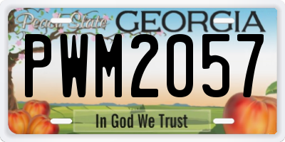 GA license plate PWM2057